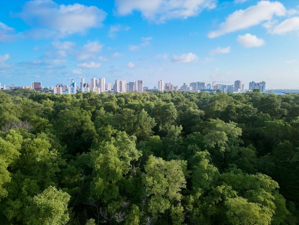 Pourquoi choisir de mandater une agence immobilière ?