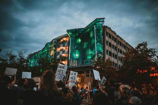 Découvrez les saveurs authentiques des fleurs de chanvre
